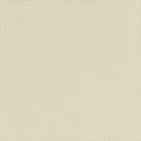 【最大1000円クーポン★P2倍】カッティングシート 10cm単位切売 サンゲツ リアテック TA-4718 無地 ベージュ REATEC リアテック 2024...