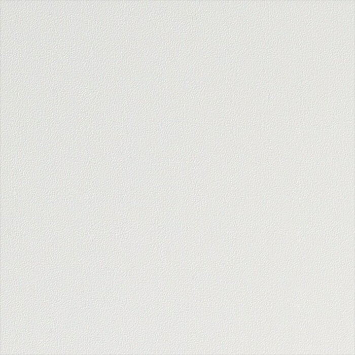 カッティングシート 10cm単位切売 サンゲツ リアテック TA-4745 無地 ホワイト REATEC リアテック 2024-2026 COLOR Solid Color