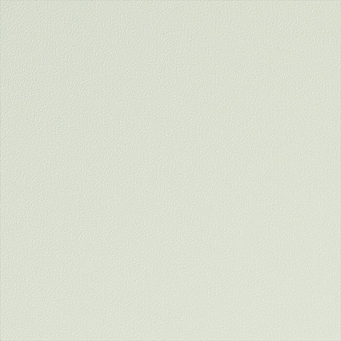 カッティングシート 10cm単位切売 サンゲツ リアテック TA-4763 無地 グリーン REATEC リアテック 2024-2026 COLOR Solid Color