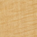 【最大1000円クーポン★P2倍】カッティングシート 10cm単位切売 サンゲツ リアテック TC-4205 シカモア 柾目 ベージュ REATEC リアテック...