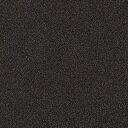 【最大1000円クーポン★P2倍】カッティングシート 10cm単位切売 サンゲツ リアテック TC-4576 ファインサンド ブラック REATEC リアテック...