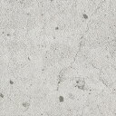 【最大1000円クーポン★P2倍】カッティングシート 10cm単位切売 サンゲツ リアテック TC-5665 サンディコンクリート グレー REATEC リアテ...