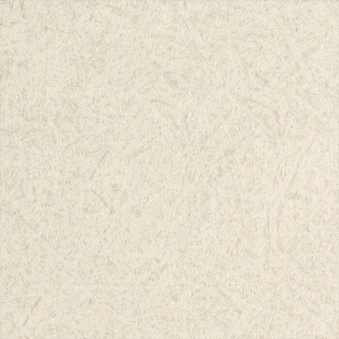 カッティングシート 10cm単位切売 サンゲツ リアテック TC-5700 草土壁 ホワイト REATEC リアテック 2024-2026 MAT E R I A L / ABSTRACT JAPANESE 和