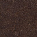 カッティングシート 10cm単位切売 サンゲツ リアテック TD-4548 錆 ブラウン REATEC リアテック 2024-2026 MAT E R I A L / ABSTRACT RUST 錆