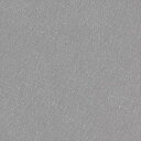 カッティングシート 10cm単位切売 サンゲツ リアテック TFE-5241 バイブレーション シルバー REATEC リアテック 2024-2026 FUNCTIONAL 高耐候リアテック