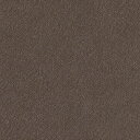 カッティングシート 10cm単位切売 サンゲツ リアテック TFE-5244 バイブレーション シルバー REATEC リアテック 2024-2026 FUNCTIONAL 高耐候リアテック