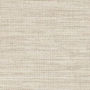 【大感謝祭★最大5000円クーポン配布中】カッティングシート 10cm単位切売 サンゲツ リアテック TN-5173 ファインクロス ベージュ REATEC リ...