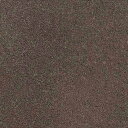 【最大1000円クーポン★P2倍】カッティングシート 10cm単位切売 サンゲツ リアテック TN-5314 サンドメタル ブラウン REATEC リアテック ...