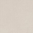 カッティングシート 10cm単位切売 サンゲツ リアテック TN-5658 アーバンプラスター ベージュ REATEC リアテック 2024-2026 MAT E R I A L / ABSTRACT STUCCO / PLASTER スタッコ / プラスター