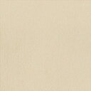 カッティングシート 10cm単位切売 サンゲツ リアテック TN-5660 アーバンプラスター ベージュ REATEC リアテック 2024-2026 MAT E R I A L / ABSTRACT STUCCO / PLASTER スタッコ / プラスター