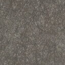 【最大1000円クーポン★P2倍】カッティングシート 10cm単位切売 サンゲツ リアテック TN-5698 村雨 ブラック REATEC リアテック 2024...