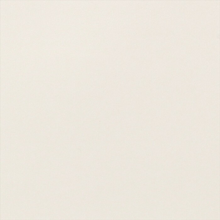 カッティングシート 10cm単位切売 サンゲツ リアテック TR-4371 Snow White ホワイト REATEC リアテック 2024-2026 MAT E R I A L / ABSTRACT METALLIC メタリック