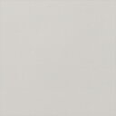 【最大1000円クーポン★P2倍】カッティングシート 10cm単位切売 サンゲツ リアテック TR-4372 White Platinum シルバー REATE...