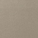【最大1000円クーポン★P2倍】カッティングシート 10cm単位切売 サンゲツ リアテック TR-4379 Champagne Gold ゴールド REATE...