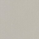 【最大1000円クーポン★P2倍】カッティングシート 10cm単位切売 サンゲツ リアテック TR-5541 White Pearl シルバー REATEC リ...