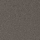 【最大1000円クーポン★P2倍】カッティングシート 10cm単位切売 サンゲツ リアテック TR-5542 Warm Gray シルバー REATEC リアテ...