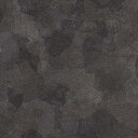 カッティングシート 10cm単位切売 サンゲツ リアテック TX-5200 リン酸仕上げ ブラック REATEC リアテック 2024-2026 MAT E R I A L / ABSTRACT RUST 錆