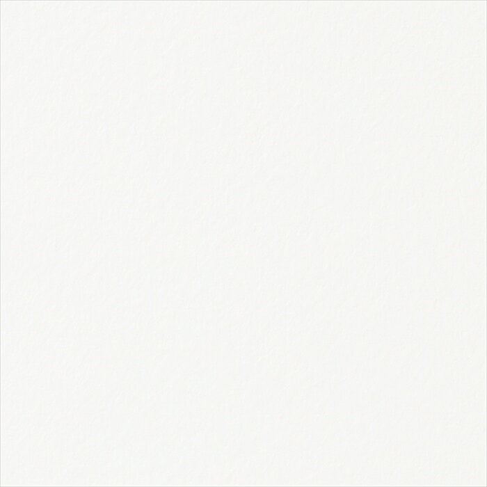 åƥ󥰥 10cmñ 󥲥 ꥢƥå TX-5341 ̵ ۥ磻 REATEC ꥢƥå 2024-2026 COLOR Eggshell Matte