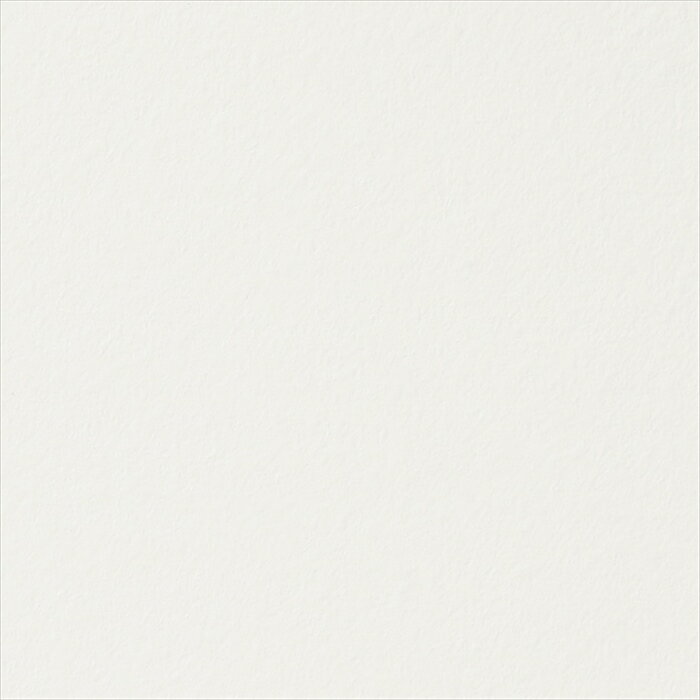 åƥ󥰥 10cmñ 󥲥 ꥢƥå TX-5342 ̵ ۥ磻 REATEC ꥢƥå 2024-2026 COLOR Eggshell Matte