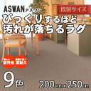 【4/24 20時～P5倍＆最大2000円OFFクーポン】アスワン ニューアスワールド ラグ 200cm×250cm リビング カーペット 日本製 汚れに強いラグ 防炎 制電 遊び毛防止 防汚 防ダニ 抗菌 ホットカーペットOK