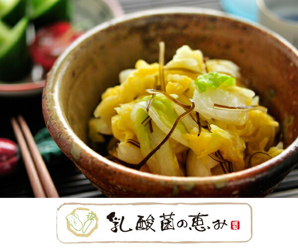 【4/24 20時~P5倍&最大2000円OFFクーポン】湖東発 乳酸菌の恵み 昆布白菜 塩漬 近江農産