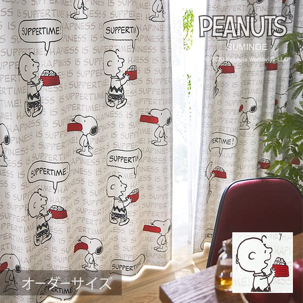 PEANUTS ピーナッツ カー