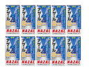 花粉症 点鼻薬 第2類医薬品 佐藤製薬 ナザールGスプレー 30ml 10本セット 鼻水 鼻づまり アレルギー 鼻炎 【セルフメディケーション税制対象商品】