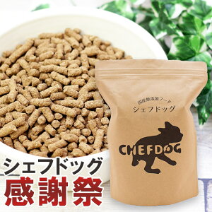 【10%OFFクーポン/楽天1位/獣医師推奨】ドッグフード 無添加 国産 800g 総合栄養食 生肉 旬魚 アレルギー 毛並み 皮膚 目 涙やけ におい 犬 おやつ ペットフード 小食 偏食 小粒 フード シニア 老犬 小型犬 中型犬 犬用品 ペット 用品 セール お得 割引 シェフドッグ 感謝祭