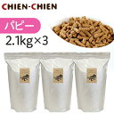 ★LINE登録で300円OFF★【楽天1位/獣医師推奨】国産 無添加 ドッグフード 「シェフドッグ」 パピー(子犬用) 2.1kg×3袋【 国産 無添加 ドッグ...