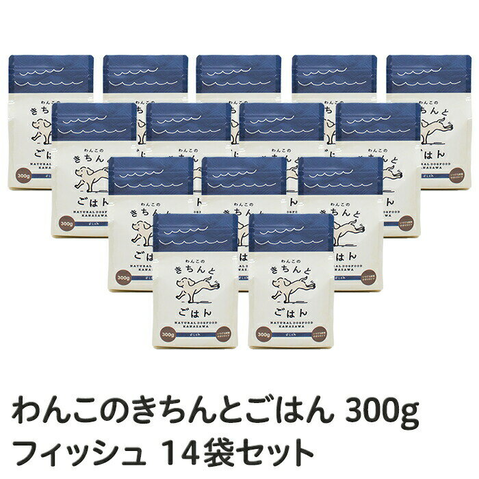 「わんこのきちんとごはん」フィッシュ　300g×14袋セット≪送料無料≫