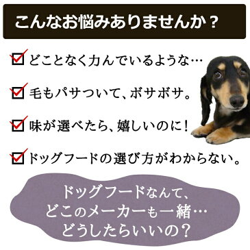 初回限定 お試し 国産 無添加 ドッグフード シェフドッグ おためし 300g ≪メール便 送料無料 超小型犬が喜ぶドッグフード「わんこのきちんとごはん」シリーズのおまけ付!≫