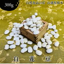 自然食品のお店 白花豆 北海道産 国産 煮豆 花豆 300g 山盛屋坂本