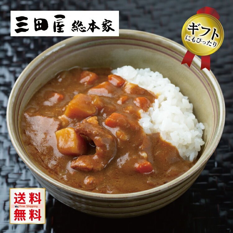 【父の日 プレゼント】【送料無料】兵庫 三田屋総本家 黒毛和牛の欧風ちょこっとビーフカレー 10食 記念日 誕生日 プレゼント お祝い 内祝 贈り物 お礼 メーカー直送 常温