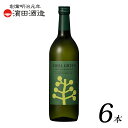 【チルグリーン 麦焼酎 ボタニカル CHILL GREEN spicy & citrus 720ml 6本 セット】 アルコール 25％ 鹿児島県 濱田酒造 焼酎 白麹 乙類 マーガオ スパイス チルアウト 炭酸割り ハイボール スパイシー シトラス 送料無料