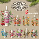 yRbp JNe COPPA COCKTAILS Iׂ 6{ ݔ Zbgz CX^f I_ 750ml Alc.15 9  SNSf  L[