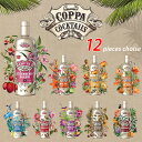 yRbp JNe COPPA COCKTAILS Iׂ 12{ ݔ Zbgz CX^f I_ 750ml Alc.15 9  SNSf  L[