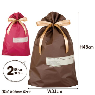 【メール便OK!】【2カラー】(M)スタイルリボン付PEギフトバッグ＜W31×H48×D7cm〔厚み〕0.06mm〔マチ形状〕底マチ＞ ラッピング袋 ギフト クリスマス プレゼント 簡単包装 おしゃれ 贈り物