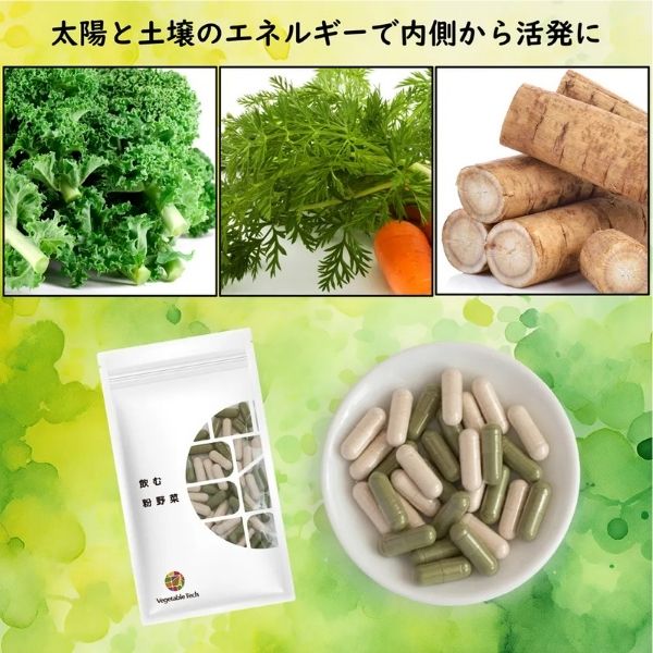飲む粉野菜〈ケール・人参葉・ごぼう〉サラダの代わりになる野菜サプリ (180粒) 宮...
