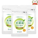 NS乳酸菌 「大草原の乳酸菌 NS-Max」 36粒 ラクア(3個セット) 腸内フローラ サプリ