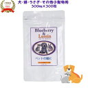 ペットの瞳に 300粒 ブルーベリー&ルテイン 粒 ペット用サプリメント 犬 目 ペット用品 アイケア 日本ビーエフ サプリメント サプリ 栄養補助食品 犬 猫...