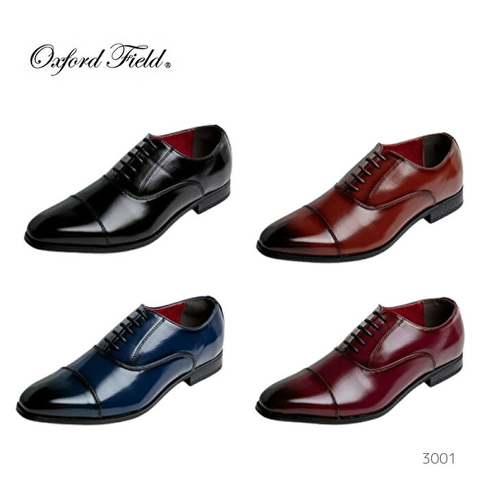 OxfordFieldオックスフォ...