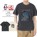 メンズ チャムス Tシャツ CHUMS チャムス Tシャツ 半袖 バックプリント ブービーバード 綿100 コットン100 CHUMS Tシャツ 夏 リサイクルコットン アウトドアCHUMS チャムススターハリケーンTシャツ CH01-2529