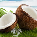 安いココナッツの香りとは、今日からサヨナラ。ココナッツ（Coconut）アロマクラフト用 アロマフレグランスソルト サシェ袋セット（手作りサシェ、テラリウム、ディフューザー用香料）