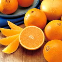 みずみずしいフレッシュなオレンジの香り。オレンジ -Orange-10mlハイグレード アロマクラフト用 フレグランスオイル(手作り石鹸 香水 キャンドル バスボム サシェ / ディフューザー 加湿器 ネブライザー用)