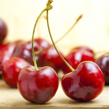 甘くて可愛いさくらんぼの香り。チェリー -Cherry-10mlハイグレード アロマクラフト用 フレグランスオイル(手作り石鹸 香水 キャンドル バスボム サシェ / ディフューザー 加湿器 ネブライザー用)