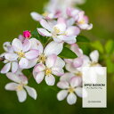 【10ml】爽やかなリンゴの香り アップルブロッサムフレグランスオイル（ボディセーフタイプ アロマクラフト用）Apple Blossom Fragrance Oil /手作り石鹸 香水 バスボム ルームスプレー サシェ ディフューザー 加湿器 ネブライザー などに