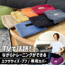 カバーのみ【TVで紹介】Activitalエクササイズプフ / エクササイズ・プフ クッション プフ テレビ東京 テレ東 朝日放送 ABCテレビ TV 通販 プ...