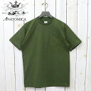 ANATOMICA (アナトミカ)『POCKET TEE』(PINE GREEN)