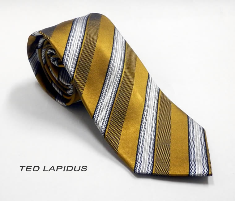 TED LAPIDUS★テッド ラピドスREGNE COLLECTION<シルク100%・イタリア ネクタイ>