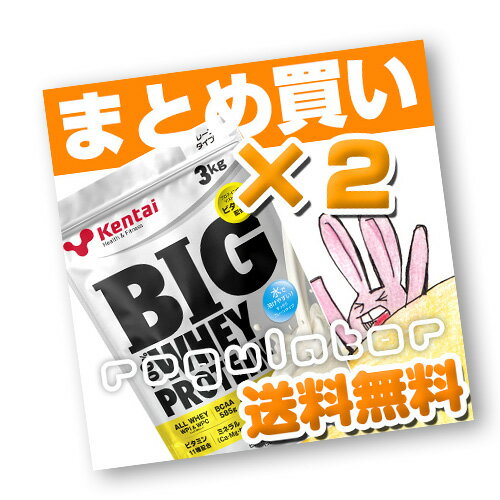 （まとめ買い）【Kentai】BIG ビッグ 100％ ホエイプロテイン プレーンタイプ 3kg×2 （送料無料）【ケンタイ・健康体力研究所】